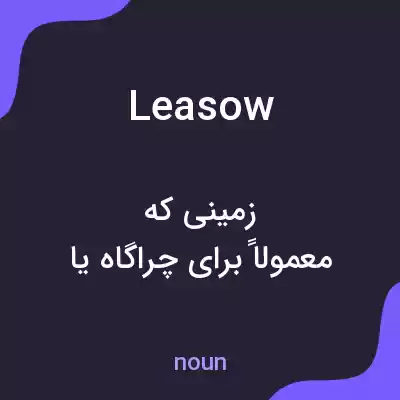 معنی leasow به فارسی معنی leasow به فارسی