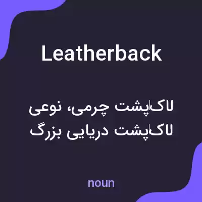 معنی leatherback به فارسی