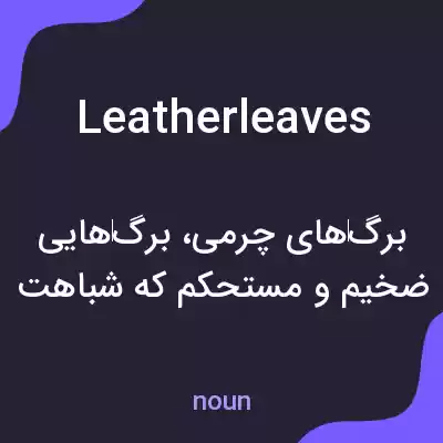 معنی leatherleaves به فارسی معنی leatherleaves به فارسی