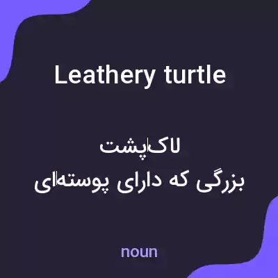 معنی leathery turtle به فارسی معنی leathery turtle به فارسی