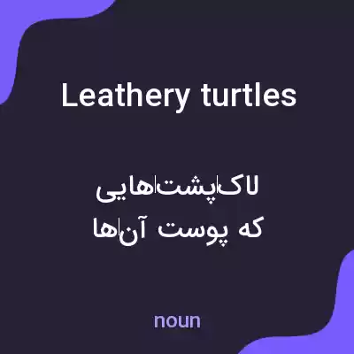 معنی leathery turtles به فارسی معنی leathery turtles به فارسی