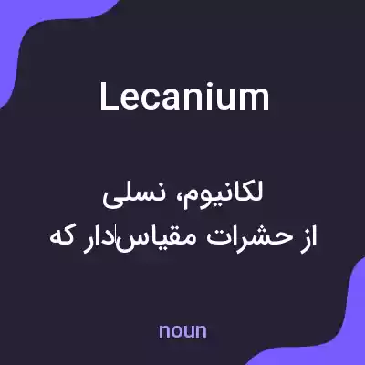 معنی lecanium به فارسی معنی lecanium به فارسی