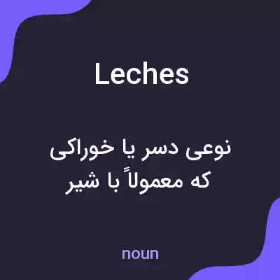 معنی leches به فارسی معنی leches به فارسی