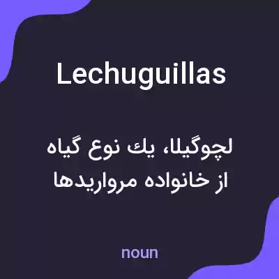 معنی lechuguillas به فارسی معنی lechuguillas به فارسی