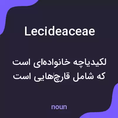 معنی lecideaceae به فارسی معنی lecideaceae به فارسی