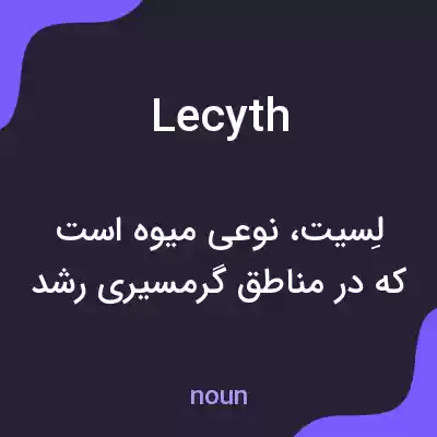 معنی lecyth به فارسی معنی lecyth به فارسی