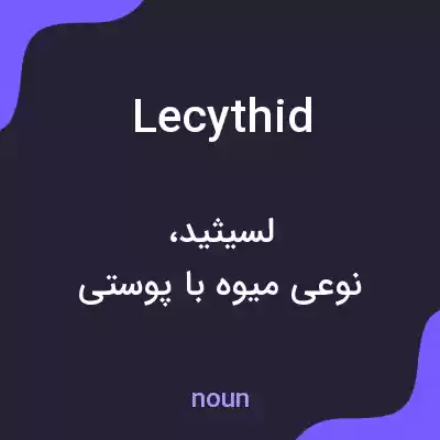 معنی lecythid به فارسی معنی lecythid به فارسی