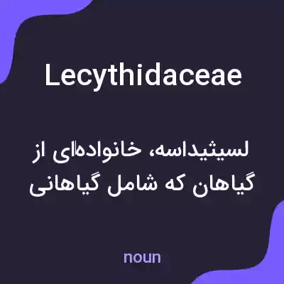 معنی lecythidaceae به فارسی معنی lecythidaceae به فارسی