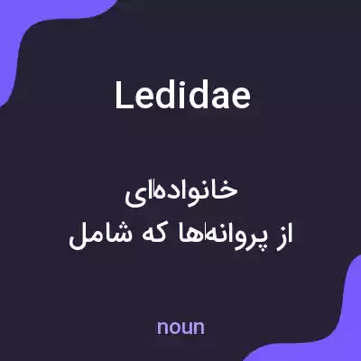 معنی ledidae به فارسی معنی ledidae به فارسی