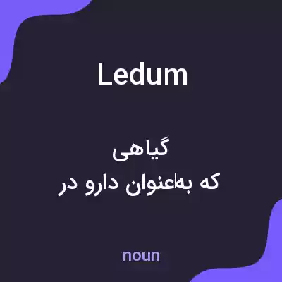 معنی ledum به فارسی معنی ledum به فارسی