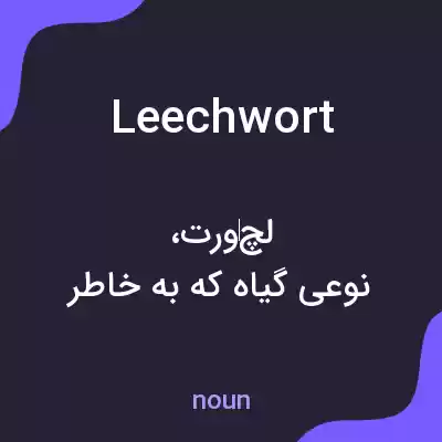 معنی leechwort به فارسی