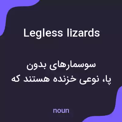 معنی legless lizards به فارسی