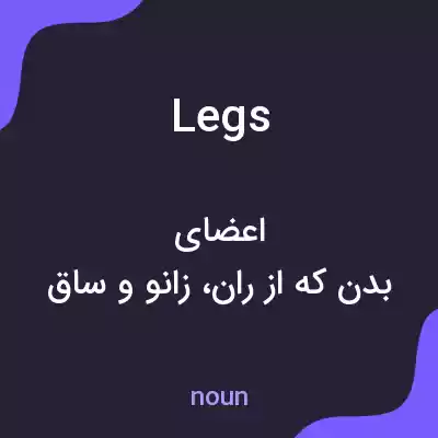 معنی legs به فارسی معنی legs به فارسی