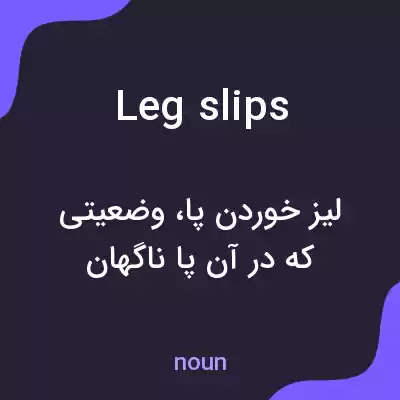 معنی leg slips به فارسی معنی leg slips به فارسی