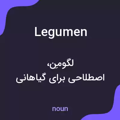 معنی legumen به فارسی معنی legumen به فارسی