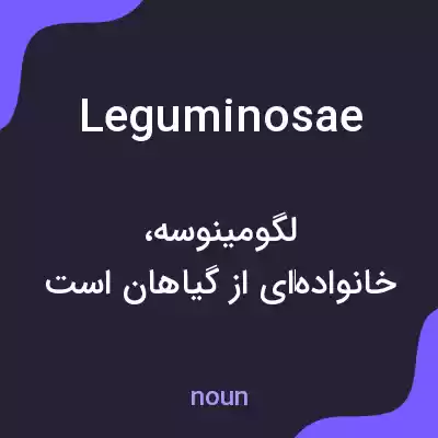 معنی leguminosae به فارسی معنی leguminosae به فارسی
