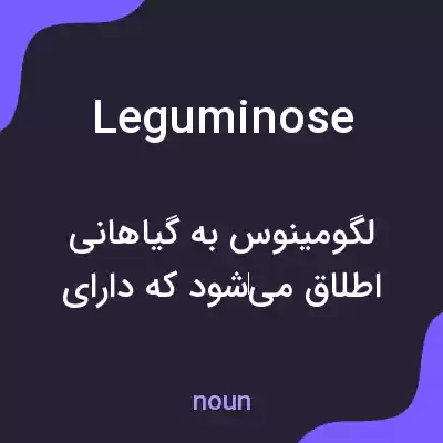معنی leguminose به فارسی معنی leguminose به فارسی