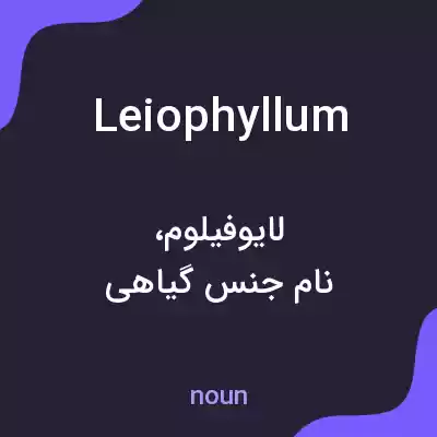 معنی leiophyllum به فارسی معنی leiophyllum به فارسی