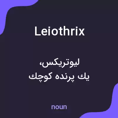 معنی leiothrix به فارسی
