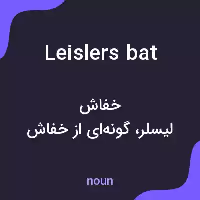 معنی leislers bat به فارسی معنی leislers bat به فارسی