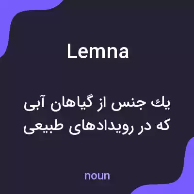 معنی lemna به فارسی معنی lemna به فارسی