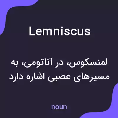 معنی lemniscus به فارسی معنی lemniscus به فارسی