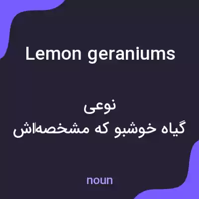 معنی lemon geraniums به فارسی معنی lemon geraniums به فارسی