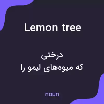معنی lemon tree به فارسی معنی lemon tree به فارسی