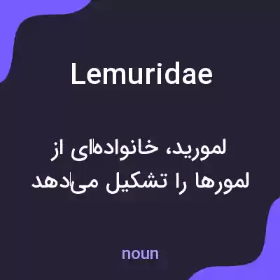 معنی lemuridae به فارسی