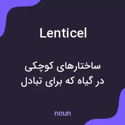 معنی lenticel به فارسی معنی lenticel به فارسی
