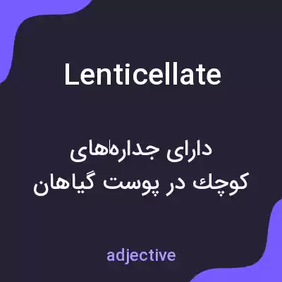 معنی lenticellate به فارسی معنی lenticellate به فارسی