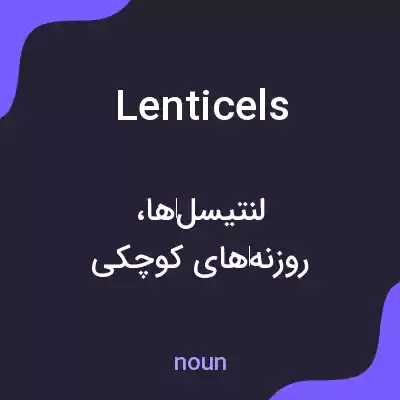 معنی lenticels به فارسی معنی lenticels به فارسی
