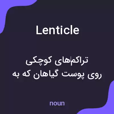 معنی lenticle به فارسی معنی lenticle به فارسی