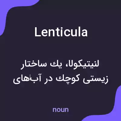معنی lenticula به فارسی معنی lenticula به فارسی