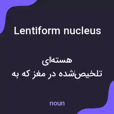 معنی lentiform nucleus به فارسی معنی lentiform nucleus به فارسی