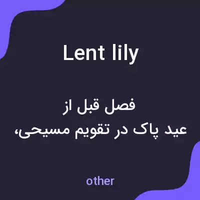 معنی lent lily به فارسی معنی lent lily به فارسی