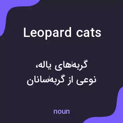 معنی leopard cats به فارسی