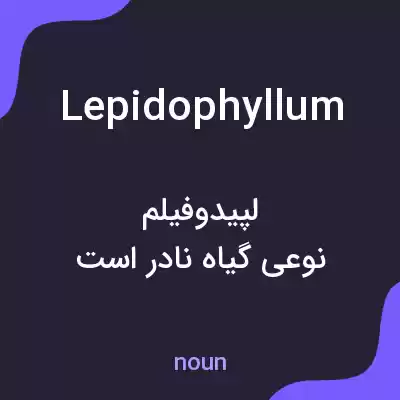 معنی lepidophyllum به فارسی معنی lepidophyllum به فارسی