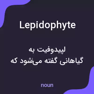 معنی lepidophyte به فارسی معنی lepidophyte به فارسی