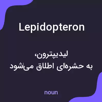 معنی lepidopteron به فارسی معنی lepidopteron به فارسی