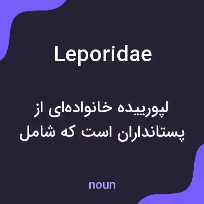 معنی leporidae به فارسی معنی leporidae به فارسی
