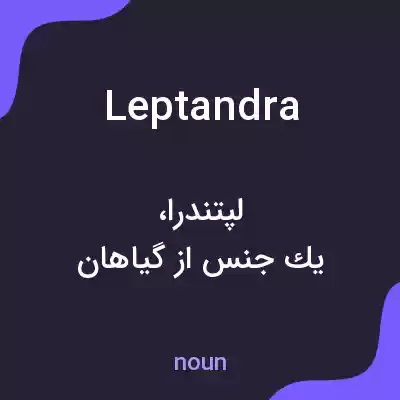 معنی leptandra به فارسی معنی leptandra به فارسی