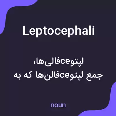معنی leptocephali به فارسی معنی leptocephali به فارسی