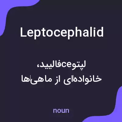 معنی leptocephalid به فارسی معنی leptocephalid به فارسی