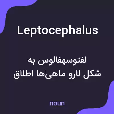 معنی leptocephalus به فارسی معنی leptocephalus به فارسی