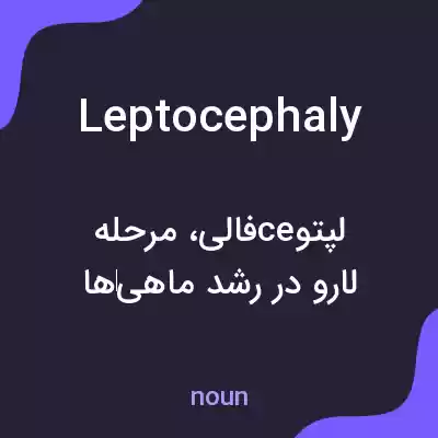 معنی leptocephaly به فارسی معنی leptocephaly به فارسی