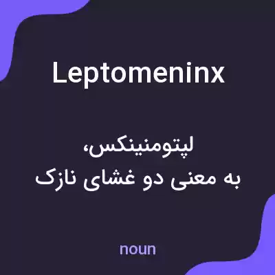 معنی leptomeninx به فارسی