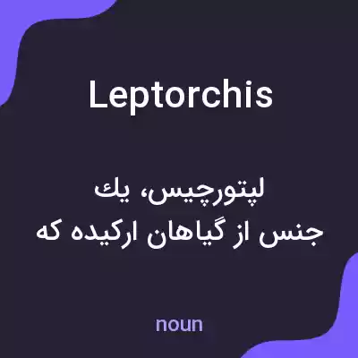 معنی leptorchis به فارسی معنی leptorchis به فارسی