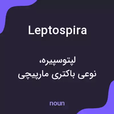 معنی leptospira به فارسی معنی leptospira به فارسی