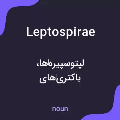 معنی leptospirae به فارسی معنی leptospirae به فارسی